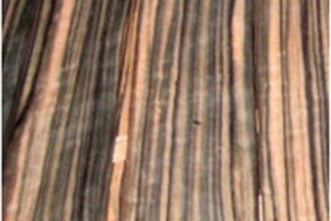 gỗ veneer Mun sọc