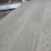 Gỗ veneer tần bì ASH kỹ thuật